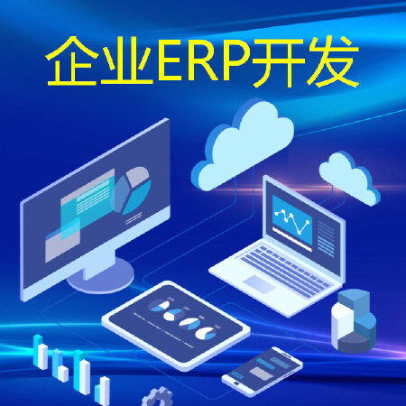 定制软件开发