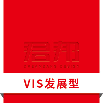 VIS发展型设计