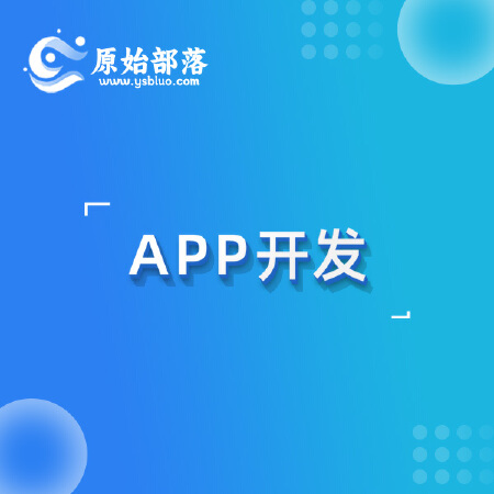 APP定制开发