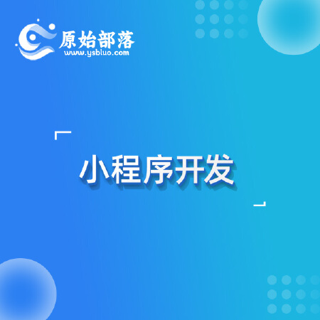 小程序定制开发