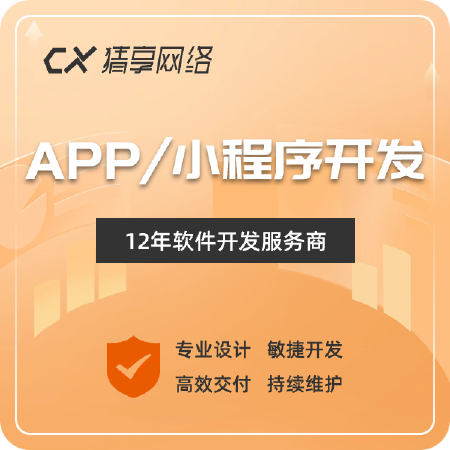 APP/小程序开发