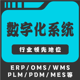 企业管理软件数字化系统ERP/OMS/WMS/PLM/MES