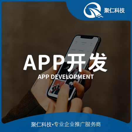 APP定制开发