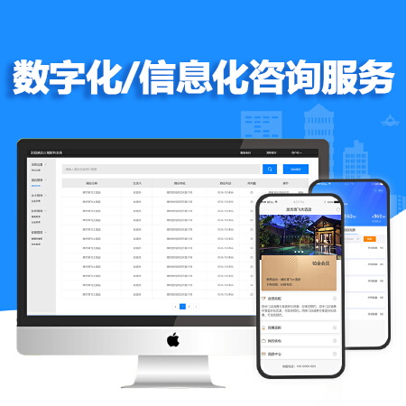 数字/信息化咨询服务