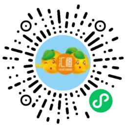 商城小程序开发案例