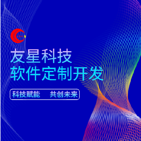 软件定制开发