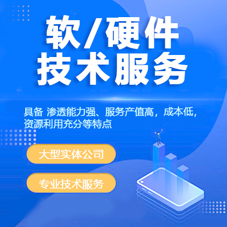 软件技术服务（人才推送）