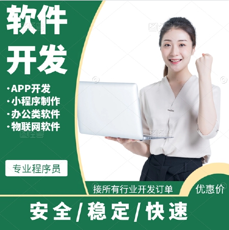 软件定制开发服务