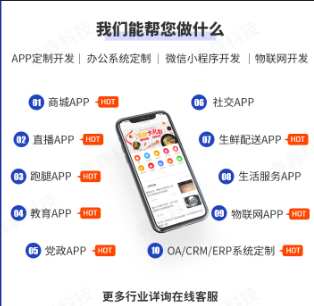 APP/小程序定制