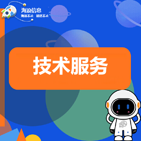 软件技术服务