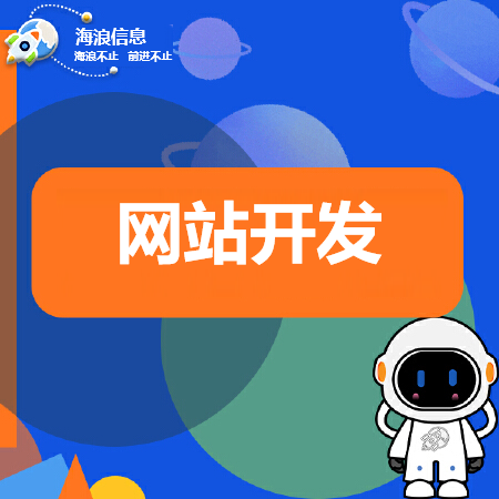 网站定制开发