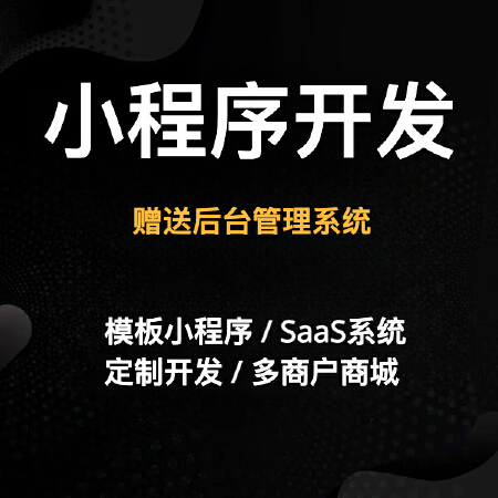 模板小程序/SaaS系统 定制开发/多商户商城