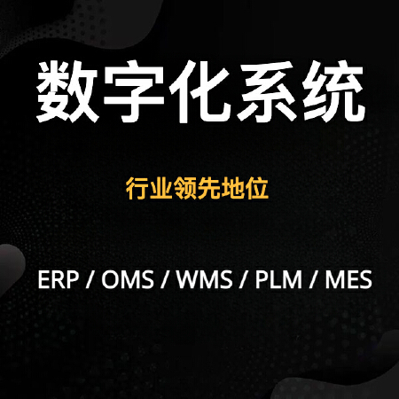 企业管理软件数字化系统ERP/OMS/WMS/PLM/MES