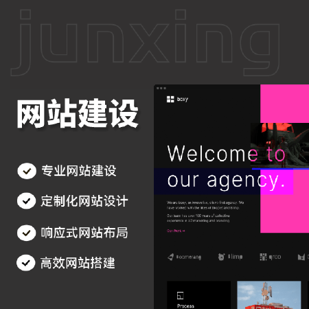 网站开发设计
