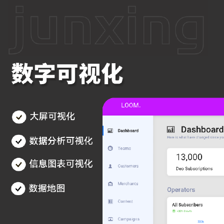 数字可视化开发