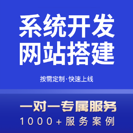 系统开发/网站搭建