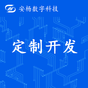 系统定制开发