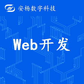 Web定制开发