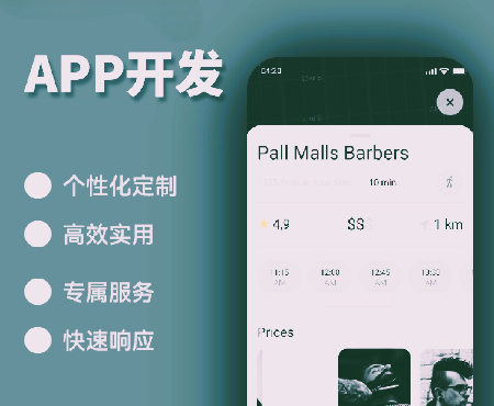APP定制开发