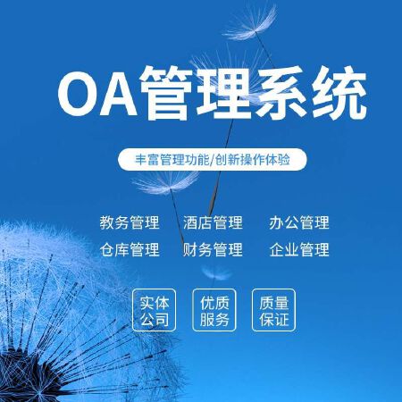 OA 管理系统定制开发