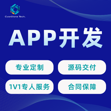 APP定制开发