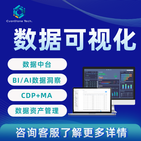 数据系统定制开发