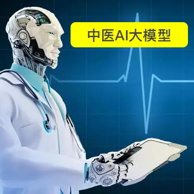 中医AI大模型