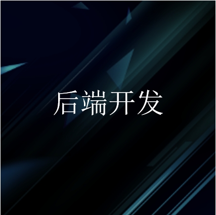 后端定制开发