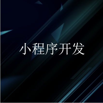 小程序定制开发