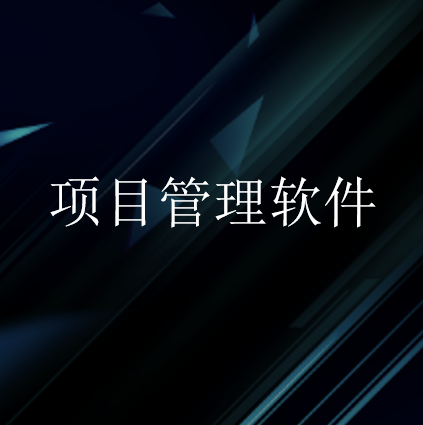 项目管理软件