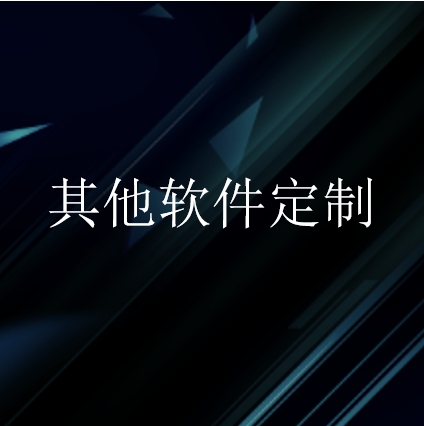 其他软件定制