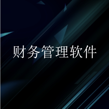 财务管理软件