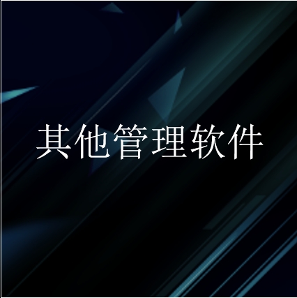 其他企业管理软件开发服务