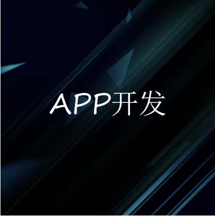 APP开发服务