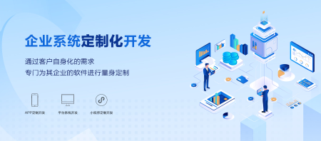 企业软件开发