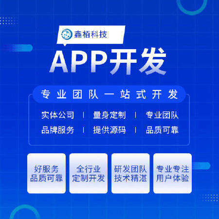 APP定制开发