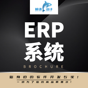 ERP系统开发