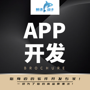 APP软件开发
