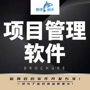 项目管理软件开发