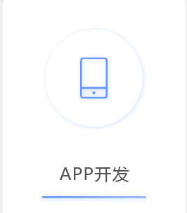 APP开发 二次开发