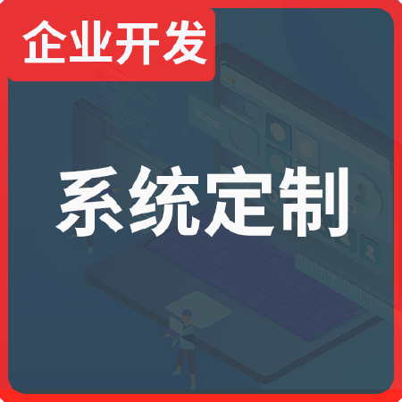 企业级系统定制开发