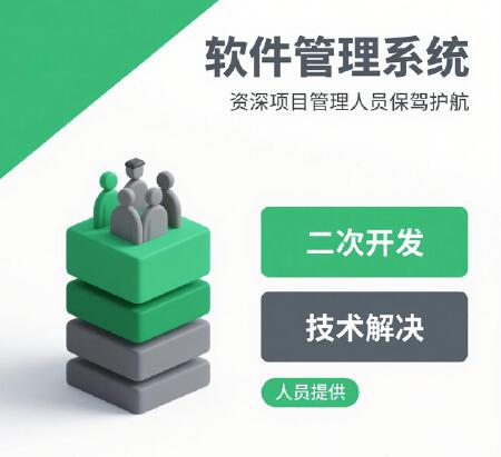 项目管理，技术攻坚：二次开发与项目管理