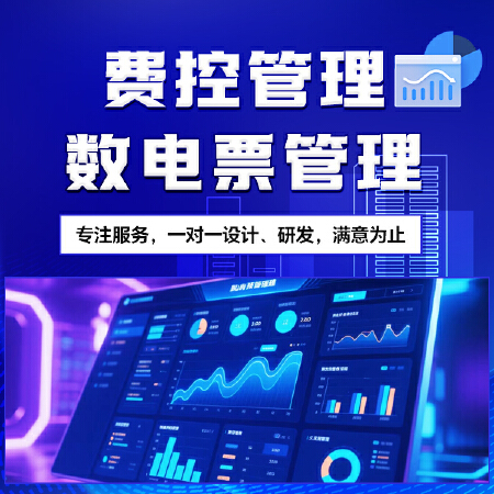费控管理  数电票管理