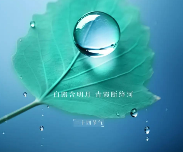 白露精选文案 | 白露至，且候一场秋意凉