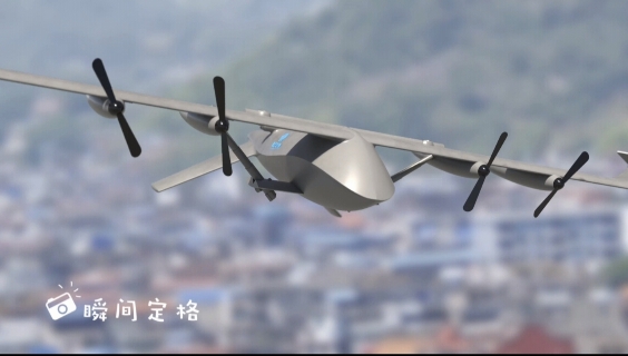 双支撑折叠翼飞行器