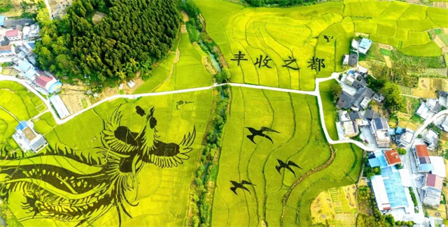 甘肃新农人在一品威客网寻心仪设计，打响小而美品牌