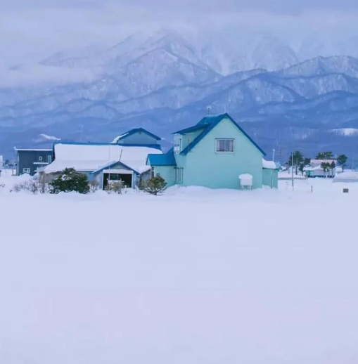 大雪节气朋友圈文案，句句温暖走心!