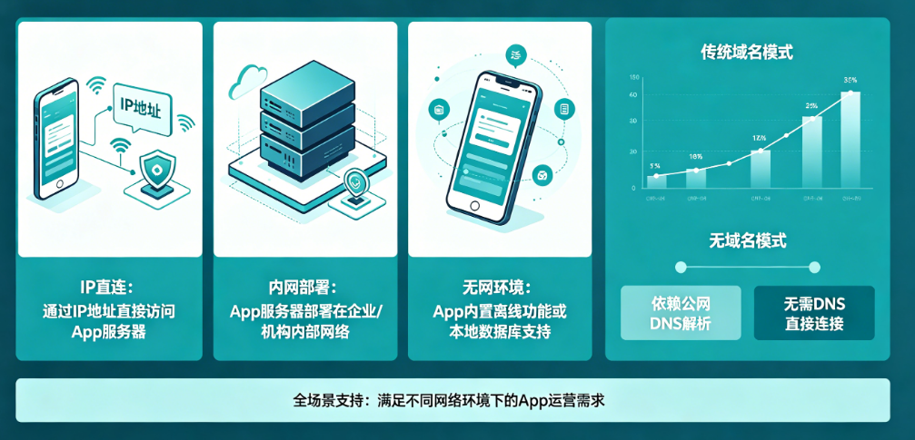 不用域名可以运营App吗?IP直连、内网部署、无网环境全场景解析