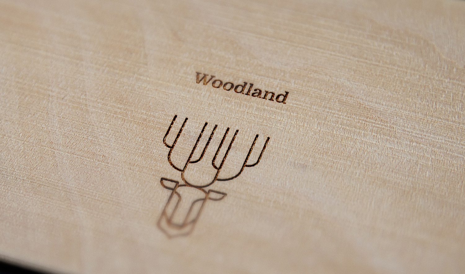 Woodland branding品牌形象设计