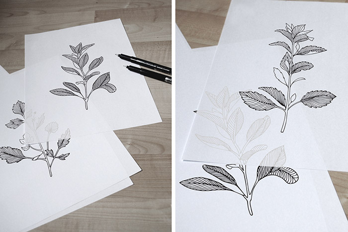 HERBÁRIA品牌和包装设计